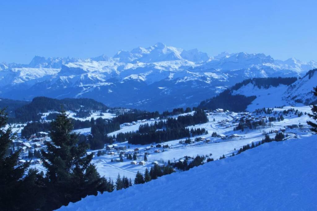Bel App Aux Gets 10Mn Centre Ski Parking Tennis Prive 莱热 外观 照片